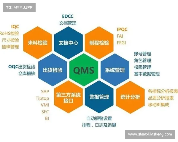 提升团队效率的必备神器与工具清单助力工作协同与精准执行