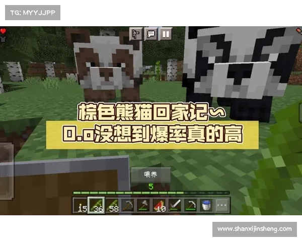 揭秘佩鲁斯世界掉落物品与爆率机制的深度分析 揭秘佩鲁斯世界掉落物品与爆率机制的深度分析