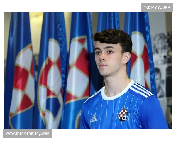 如何为萨格勒布迪纳摩足球俱乐部提供支持与贡献的多种方式